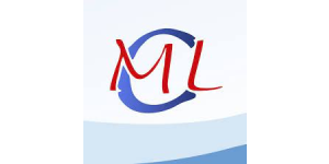 LIMA E MOREIRA SEGUROS
