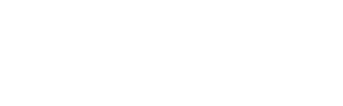 logo-dir-insur logo-dir-insur